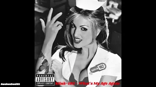 Blink 182 - What's My Age Again 1 hour