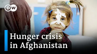 Afghanistan is facing a severe hunger crisis | DW News