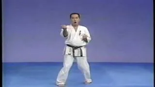 karate kyokushin sanchin kata