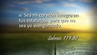 Reavivados por su Palabra - 04/12/2013 - Salmo 119