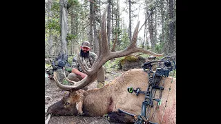 'Chasing Bugles'-Giant 381" Utah DIY Archery Elk 2022: A PSC OUTDOORS Film