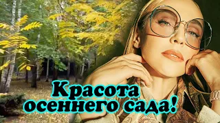 Альбина Джанабаева показала невероятную красоту своего приусадебного участка