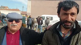 ÇORUM SUNGURLU TAVUK PAZARI 9 MART 2023 PERŞEMBE MURAT GÜRGİL