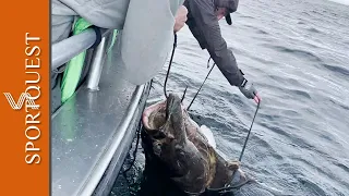 Fishing For Huge Halibut at Havoysund, Northern Norway