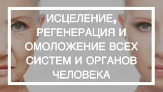 Елена Зуева. ИСЦЕЛЕНИЕ, РЕГЕНЕРАЦИЯ и ОМОЛОЖЕНИЕ ВСЕХ СИСТЕМ и ОРГАНОВ ЧЕЛОВЕКА