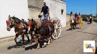 "Passeggiata Folkloristica dei Cavalli" 2023