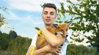 POPRVÉ VENČÍME NAŠÍ LIŠKU! 🦊