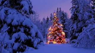 Видео лучшая новогодняя елка