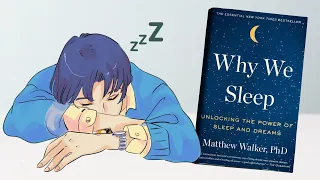 How to Increase Sleep Quality 🐞 Why we sleep Animation Summary by Matthew walker