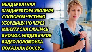 Замдиректора уволила уборщицу, но онемела, когда увидела видео, которое поломойка показала боссу