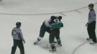 Francois Beauchemin vs Jamal Mayers