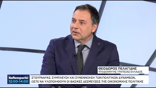 Θ. Πελαγίδης: Το παρασκήνιο της συνάντησης Τσίπρα- Στουρνάρα