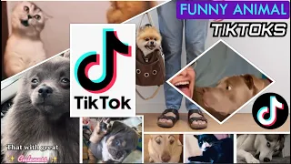 Funny Animal TikToks [CLEAN]: Try Not to Laugh - July 2022