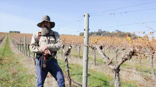 Spur Pruning at Best's Great Western