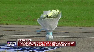 Wayne County Sheriff's sergeant hit and killed while jogging