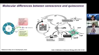 Stress and Tumor Recurrence: Implications for Cancer Control