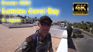 Египет 2022 Domina Coral Bay 6 серия Real Life| #египет #шармэльшейх #путешествие #dominacoralbay