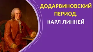 1. Додарвиновский период. Карл Линней