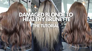 Damaged Fried Blonde to Healthy Golden Brunette - how protein destroyed her hair - hair tutorial