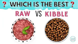 Raw vs Kibble Dog Food. Which is better? Explained with Pros & Cons of feeding. || Monkoodog
