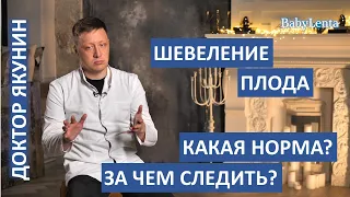 Сколько раз в день должен шевелиться ребенок? Норма шевелений плода во время беременности!