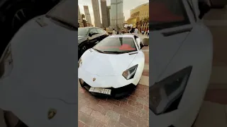 Lamborghini Aventador!!! 🔥Always a head turner #lamborghini #aventador #shorts #shortsvideo #dubai