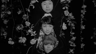 Funeral Parade of Roses (1969) clip - on BFI Blu-ray from 18 May 2020 | BFI