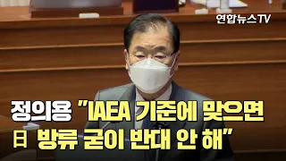 정의용 "IAEA 기준에 맞으면 日 방류 굳이 반대 안 해" / 연합뉴스TV (YonhapnewsTV)