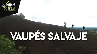 ¿TE GUSTA LA SELVA? DEBES VER ESTO || CaminanTr3s, El tercero eres tú!!