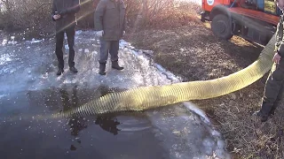 Процесс Зарыбления. Водоём Высокополье