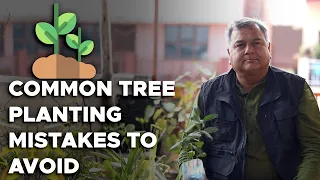 Some common tree planting mistakes to avoid | Peepal Baba