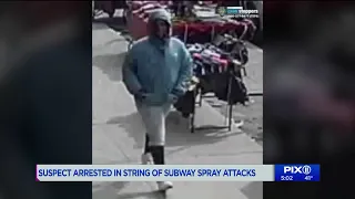 Woman arrested in string of spray attacks in the Bronx and Manhattan