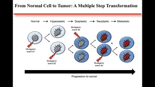 Tumour immunology