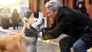 Hachiko full movie🎬(hachi,a dog's tale)