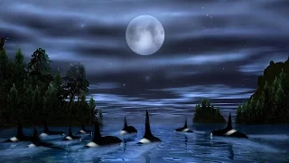 Ennio Morricone - Orca Theme