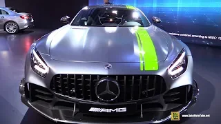 2019 Mercedes AMG GT R Pro - Exterior and Interior Walkaround - 2018 LA Auto Show