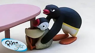 Pingu Teases Pinga 🐧 | Pingu - Official Channel | Cartoons For Kids