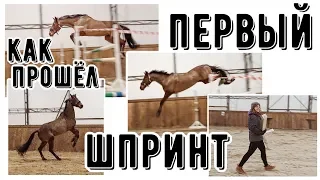 Свободное напрыгивание моей лошади/день из жизни конника🐴❤️