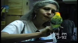 1992 Panama City, Florida -  A Visit to Exotic Aquatics pet shop