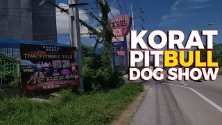 Pitbull Show Korat August 2022 - Dog Show Central Korat