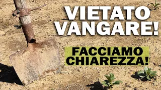 VIETATO VANGARE | COME e QUANDO LAVORARE il suolo | Facciamo chiarezza