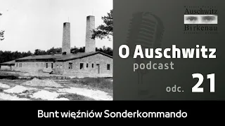 "O Auschwitz" (odc. 21): Bunt więźniów Sonderkommando