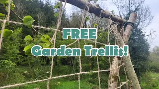 How To Build A Simple Garden Trellis