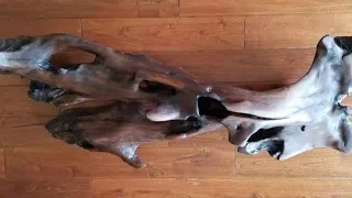 COMPILATION OF DRIFTWOOD ART | WOODSYDOC