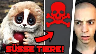 ClashGames REAGIERT auf 10 süße Tiere, die dich töten könnten! 😨 | ClashGames Reaktion