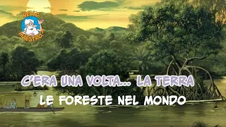 C'era una volta... la Terra 🌎- Le Foreste nel mondo 🌳