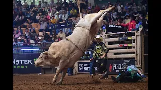 Unstoppable Bull! Cool Whip Ties the All-Time Record with 42 Consecutive Buck-Offs