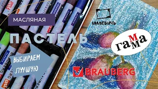 Обзор дешевой масляной пастели | Brauberg | Гамма | Малевич