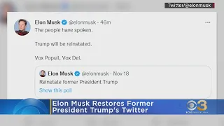 Former President Donald Trump's Twitter account reinstated, Elon Musk says