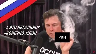 🚬 ИЛОН МАСК КУРИТ WEED 🥦 С ДЖО РОГАНОМ (На русском)